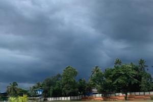 Monsoon hits Kerala coast after week's delay